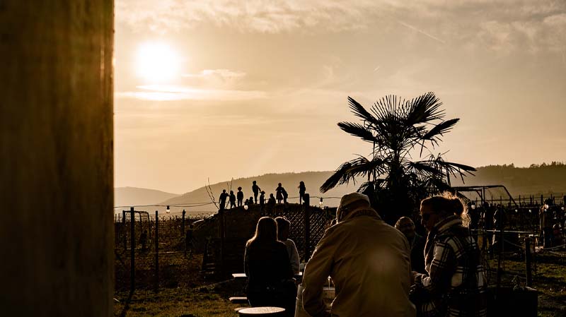 Container Event im Weingut Dillmann
